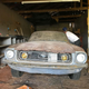 Illustration for article titled This Barn Find 1968 Ford Mustang Fastback Came With the Ashes of Its Former Owner